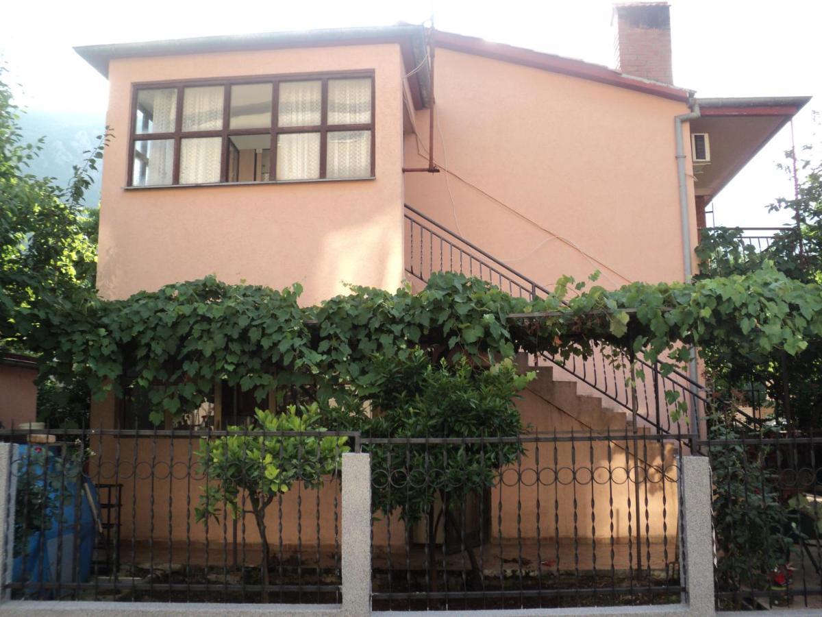 Apartment Sali كوتور المظهر الخارجي الصورة